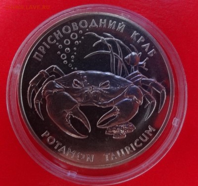 Юбилейные монеты УКРАИНЫ (тема пополняется) - DSC09687.JPG