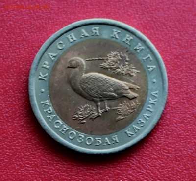 КРАСНАЯ КНИГА 1992 Казарка 10 рублей до 4 июня 22-00 - Picture 077