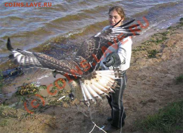 1руб2005спмд шт? - орел_девушка