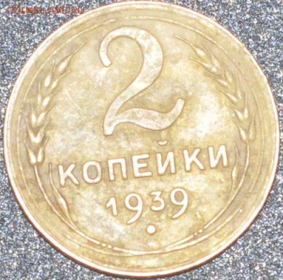 Советы из земли,нужна помощь в определении - DSC_0170.JPG