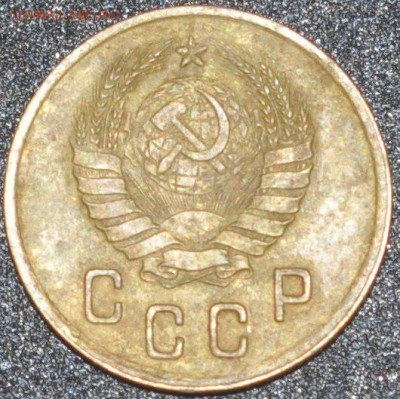 Советы из земли,нужна помощь в определении - DSC_0171.JPG