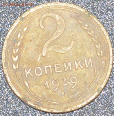 Советы из земли,нужна помощь в определении - DSC_0172.JPG