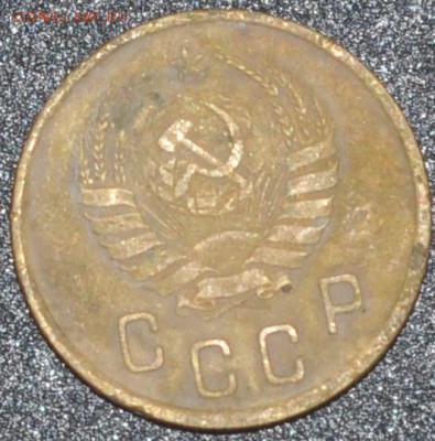 Советы из земли,нужна помощь в определении - DSC_0173.JPG