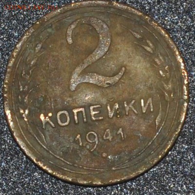 Советы из земли,нужна помощь в определении - DSC_0174.JPG
