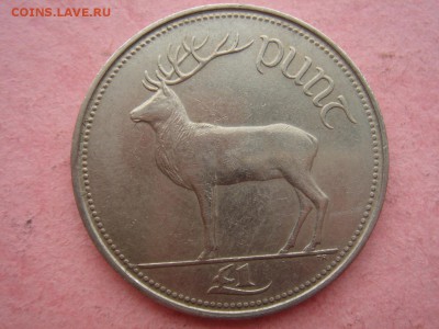 Ирландия: фунт 1990 до 05.06.14 - Ирландия фунт 1990-2.JPG