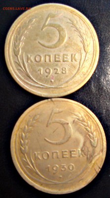 пятачки - DSC09324.JPG