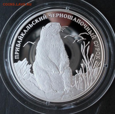 2 рубля 2008 г.  Красная книга, Сурок до 3.06.2014 в 22:15 - DSCN1052.JPG