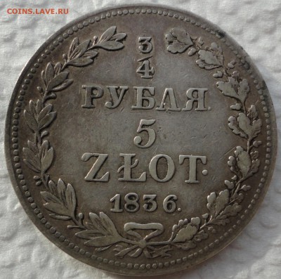 4 рубля - 5 злотых 1836 и 1837г.г. MW. Помощь в оценке. - DSC07204.JPG