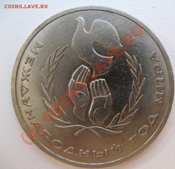 1р ГОД МИРА "ШАЛАШ" до 22.03.10. 22-00мск - 255.JPG