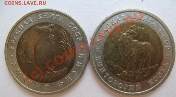 КРАСНАЯ КНИГА 1991г до 22.03.10 22--00 - 263.JPG
