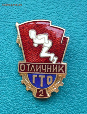 Отличник ГТО , до 07.06.14г. 22-00 мск. - P1100460.JPG