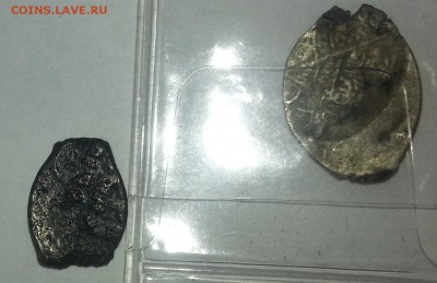 медная чешуйка определние - чеш22