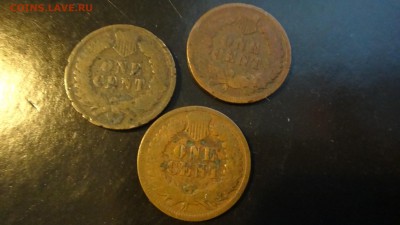 США 1 цент 1900,1901,1902 (изображением индейца) - DSC04252.JPG