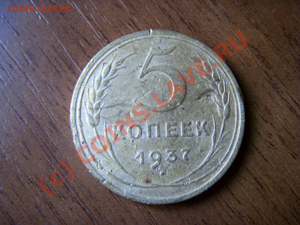 21:00 - SDC12701.JPG