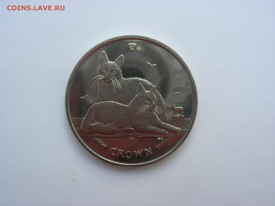 Остров Мэн - Крона - Кошка до 10.06 22:00 - DSCN6908.JPG