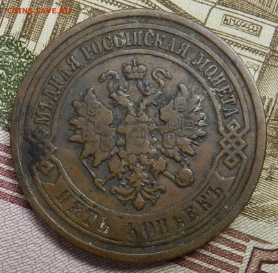 домашнего хранения медные 5 копеек 1880 спб ( до 08.06.2014) - DSCN7056