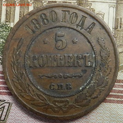 домашнего хранения медные 5 копеек 1880 спб ( до 08.06.2014) - DSCN7055