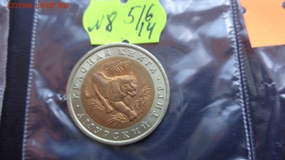 КК- Амурский ТИГР- 10 руб 1992 г  до  21-55 мск  11.6 среда - ххХхх   05.06.2014 год 114.JPG