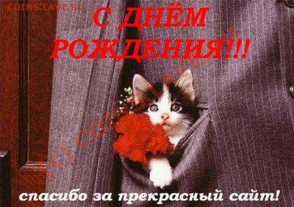 Admin-c Днём рождения! - Фотка