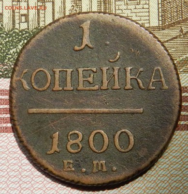 домашнего хранения 1 Копейка Павла 1 - 1800 ем  до 10.06.14 - DSCN7108