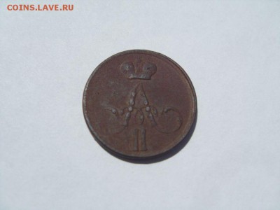 денежка - SDC14034.JPG