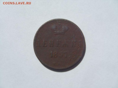 денежка - SDC14037.JPG