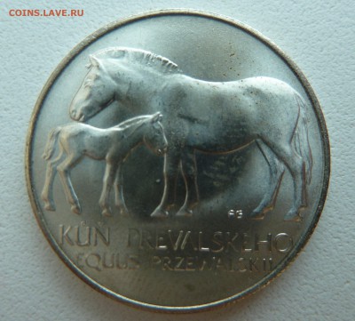 ЧССР 50 крон 1987 ЛОШАДИ ПРЖЕВАЛЬСКОГО до 12.06.14 22:00 мск - P1210059.JPG