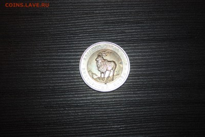 КК 1991 г. 5 руб. Винторогий козел ФИКС - IMG_0004.JPG