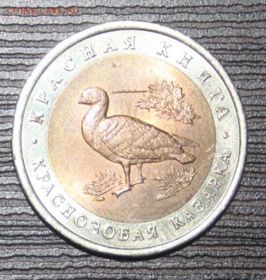 КК 1992 г. 10 руб. Краснозобая казарка ФИКС - IMG_0002.JPG