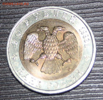 КК 1993 г. 50 руб. Гималайский медведь ФИКС - IMG_0019 - медведь.JPG