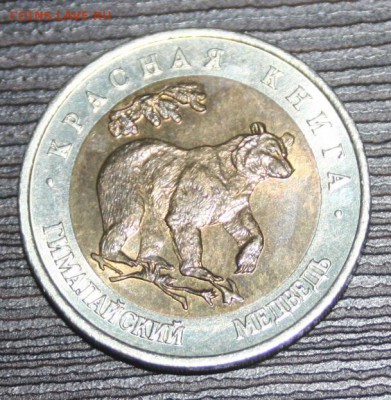 КК 1993 г. 50 руб. Гималайский медведь ФИКС - IMG_0017 - медведь.JPG