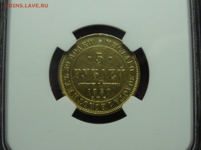 5р 1850 (орел 1849) в слабе NGC AU Det. до 12.06 22:00 МСК - DSC04321.JPG
