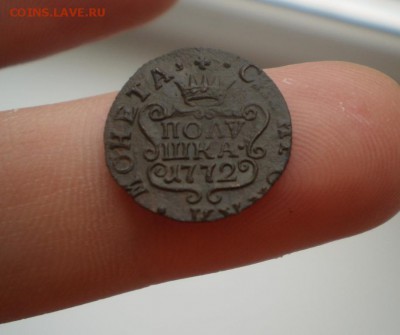 Денга 1749 и полушка 1772 вроде не плохие. - P1010146.JPG