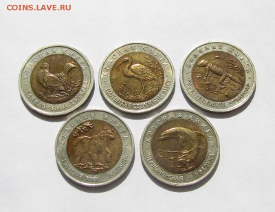 КРАСНАЯ КНИГА 1993 г. 5 Монет 12.06.14 в 22.00 МСК - IMG_5166.JPG