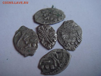 200 кладовых чешуек - DSC09874.JPG