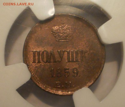 Полушка 1859 г. ЕМ NGC MS62RB до 14.06 22:00 Москвы - P1012314.JPG