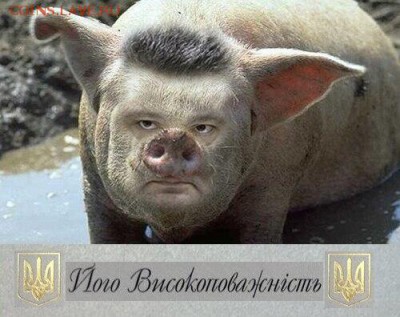 Ну а теперь про Украину - 4a5ac660ceb13ed99d3b80a7fabde7e8