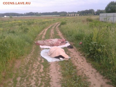 Фотоссесия - и че только на копе не встретишь!Не монетная . - 2014-06-09 06.28.02