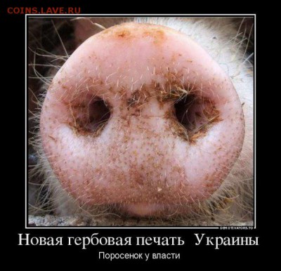 Ну а теперь про Украину - 202
