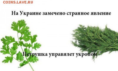 Ну а теперь про Украину - 2uzyei68hmq