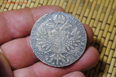 1таллер Рестрайк 1780-х Австро-Венгрия до 19.06.14 - _CSC0470[2].JPG