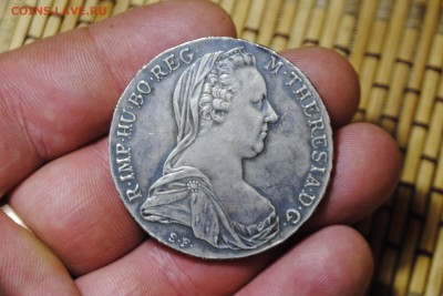 1таллер Рестрайк 1780-х Австро-Венгрия до 19.06.14 - _CSC0468[1].JPG