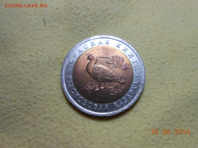 ДВЕ МОНЕТЫ серии "КК" АИСТ и КАЗАРКА !!! - DSCN1780[1].JPG