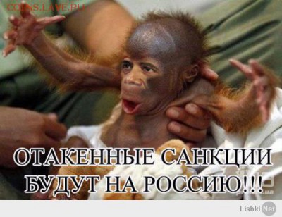 Ну а теперь про Украину - ebb5aa586b59aa37548424155c01ca04