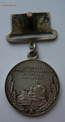 Медаль ВСХВ - P1020281.JPG
