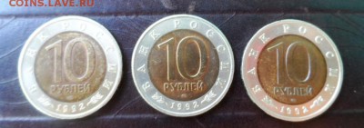 Короткий аук. Красная книга  1992 год до 18.06.14 в 22-00 - 122.JPG