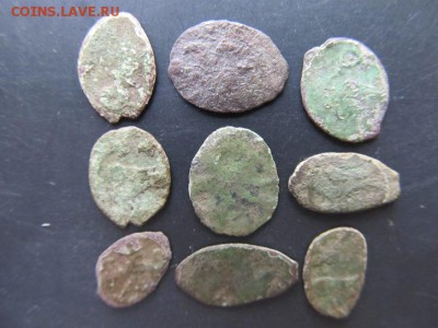 Медная чешуйка-9шт до 22.06.14г в 22.00 час - IMG_3958.JPG