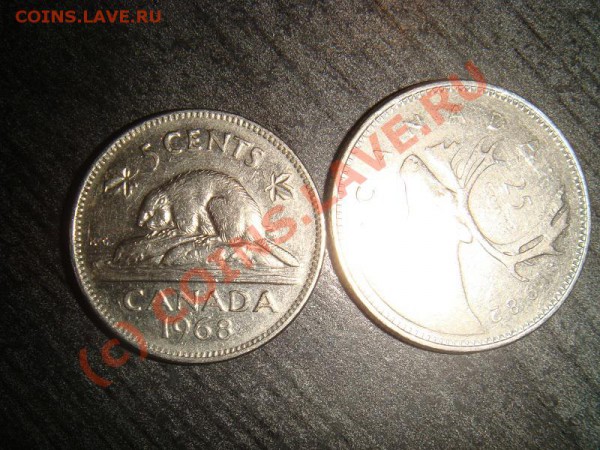 определите много всего - canada