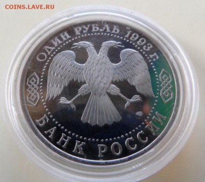 Без капсулы - SAM_6353.JPG
