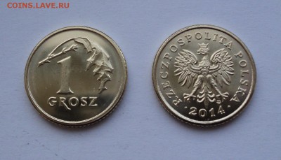 Польша 5 злоты 2014, 1 грош Royal Mint - 1 грош 2014 г..JPG